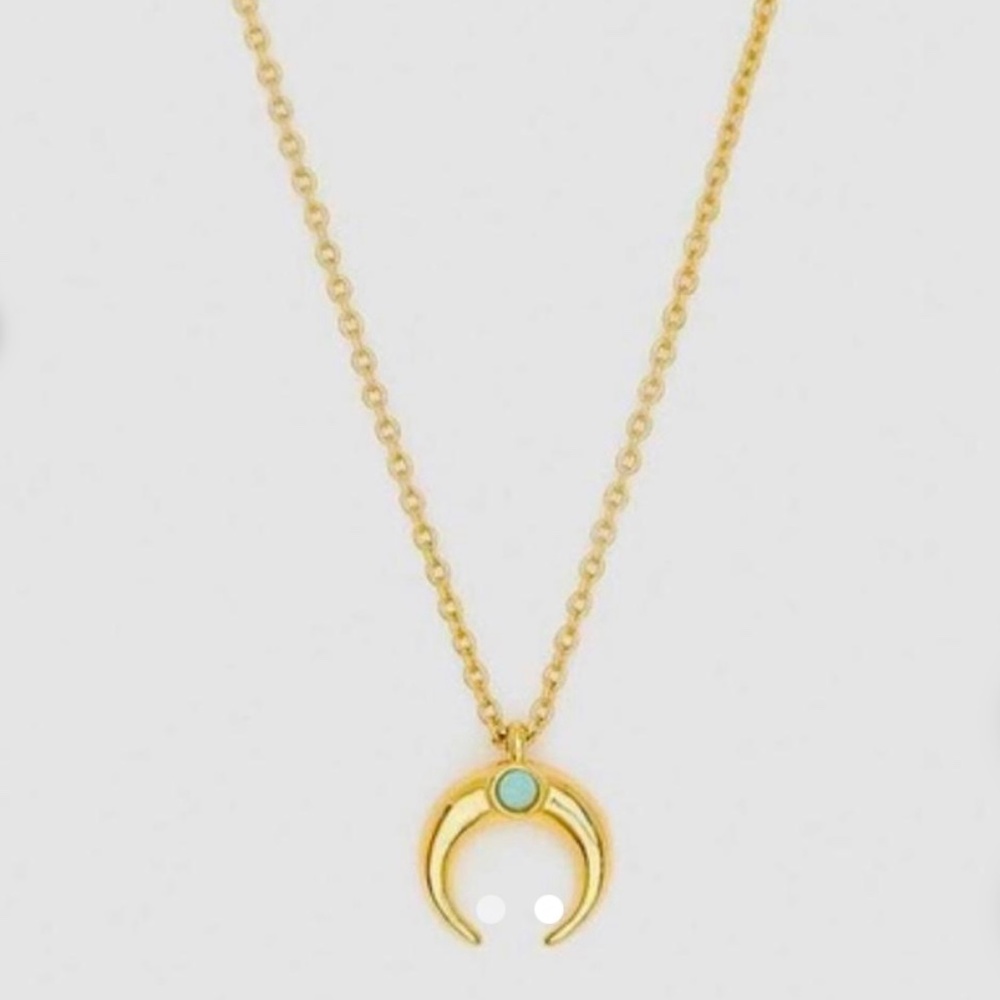 Gorjana Cayne Crescent Charm Necklace!! NWT